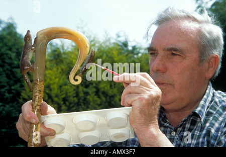 John Hugh Williams machen die traditionellen Hirten Gauner macht er auch Walking-Stöcke Bry Siencyn Anglesey North Wales Stockfoto