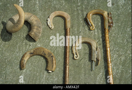 John Hugh Williams machen die traditionellen Hirten Gauner macht er auch Walking-Stöcke Bry Siencyn Anglesey North Wales Stockfoto