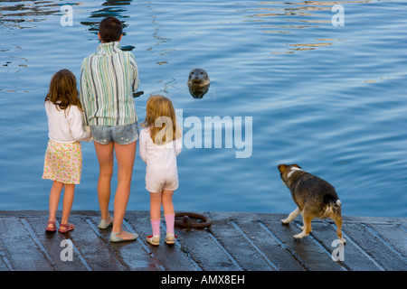 Frau mit ihren beiden Töchtern und ihrem Hund durch den Rand des Wassers beobachten eine Dichtung stehen Stockfoto