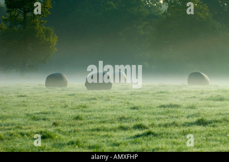 Strohballen auf einem Feld im Morgengrauen South Downs Sussex England UK Stockfoto