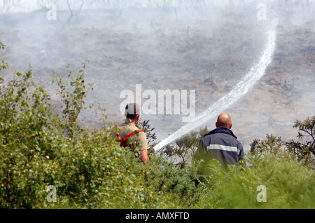 Feuerwehrleute kämpfen eine Heide Feuer in Dorset England UK Stockfoto