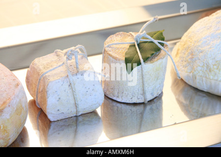Verschiedene Käsesorten in Nahaufnahme Stockfoto