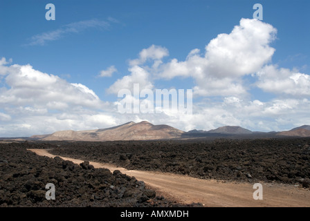 Feldweg vorbei durch Wald, Nationalpark Timanfaya, Lanzarote, Kanarische Inseln, Spanien Stockfoto