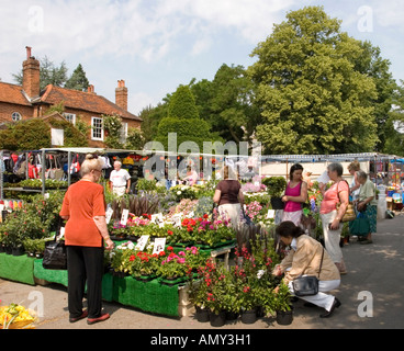 Alten Beaconsfield Buckinghamshire Stockfoto