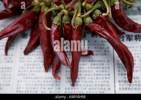 Nahaufnahme von roten Chilischoten Stockfoto