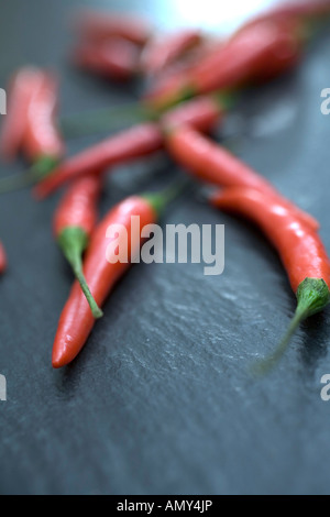 Nahaufnahme von roten Chilischoten Stockfoto
