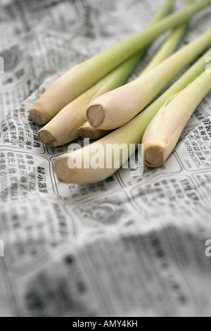 Frühlingszwiebeln auf einer Zeitung, Nahaufnahme Stockfoto