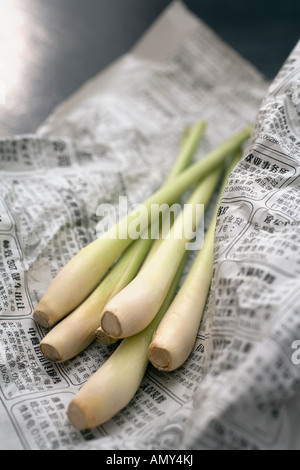 Nahaufnahme von Zitronengras auf Papier Stockfoto