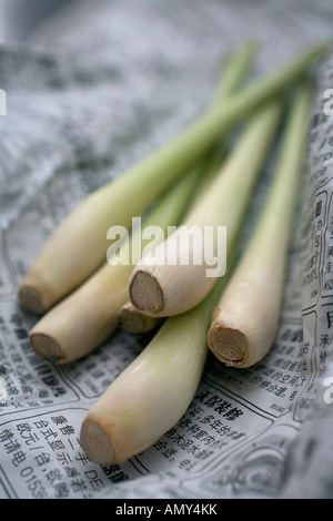 Frühlingszwiebeln auf einer Zeitung, Nahaufnahme Stockfoto