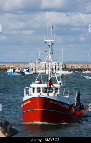 Trawler, die Rückkehr zum Hafen von Brixham tragen einen Fang von Sprotten Stockfoto