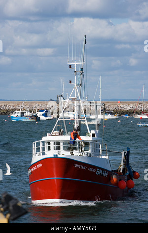 Trawler, die Rückkehr zum Hafen von Brixham tragen einen Fang von Sprotten Stockfoto