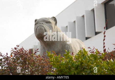 Bulldogge Statue an der South Carolina State University Jonesboro USA Stockfoto