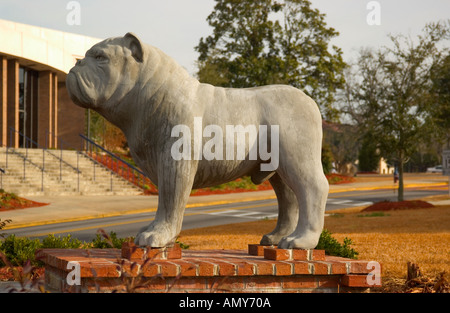 Bulldogge Statue an der South Carolina State University Jonesboro USA Stockfoto