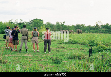 Touristen beobachten Elefanten, Safari, Mole National Park, Ghana Stockfoto
