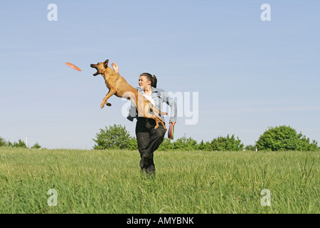 Frau spielt mit halben Rasse-Hund (Malinois) auf Wiese Stockfoto