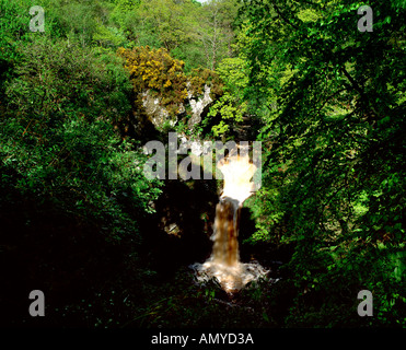 Wasserfall bei Ness Holz Co-Londonderry-Nordirland Stockfoto