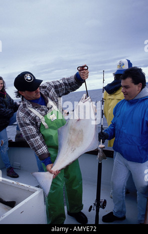 Fischer Holding Heilbutt fangen auf Bootscharter KP AK Stockfoto
