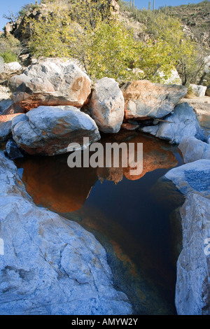 Wasserbecken im Tanque Verde Canyon Reddington Pass Tucson Arizona Stockfoto