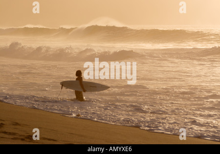 Hinunter in die Brandung in frühen Morgensonne Hintergrundbeleuchtung bei Banzai Pipeline North Shore von Oahu Hawaii Hawaii-Inseln Stockfoto