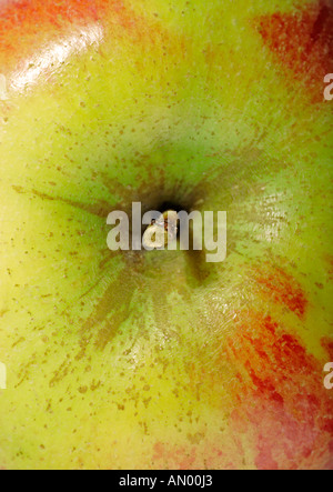 Apple-full-frame Stockfoto