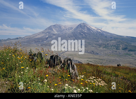 USA WASHINGTON WASHINGTON CASCADE MOUNTAINS A Ansicht des Mount St. Helens ein aktiver Vulkan in der Kaskadenkette Stockfoto