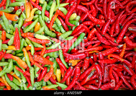 Gemischte Chilis Stockfoto