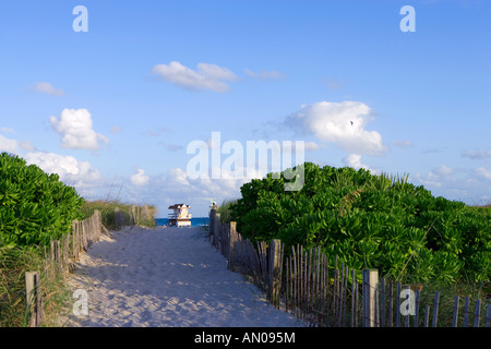 Fußweg zum Rettungsschwimmer-Turm auf Miami Beach, Florida Stockfoto