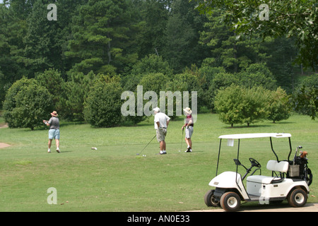 Alabama Madison County, Huntsville, Hampton Cove Golfplatz, Sport, Sportler, Erholung, Spiel, Landschaft, Design, Golf, Können, Fahren, Putting, Grün, Sand-tra Stockfoto