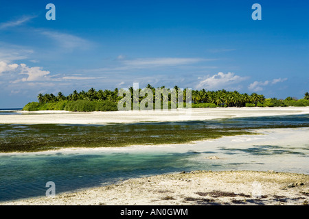 Malediven-Addu Atoll Feydhoo Westküste Savahili island Stockfoto
