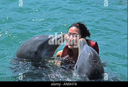 Frau, Schwimmen mit Delphinen Guadarlavaca Holguin Provinz Kuba Stockfoto