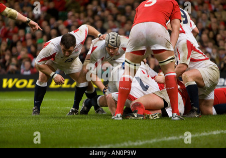 Warten auf die Freigabe des Balles in einem Ruck während des Wales England Spiels im Millennium Stadium am 17. März 2007 Stockfoto