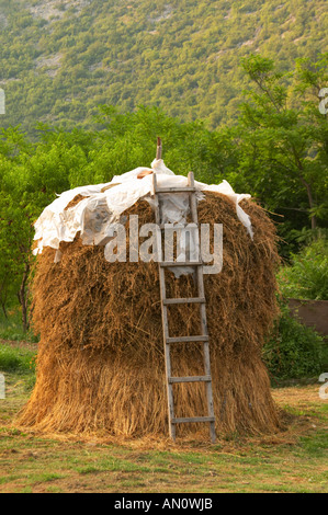 Heuhaufen Hay Stack mit dem Trocknen von Heu in den Garten, mit einer alten Holzleiter, Durovic Jovo Winery, Dupilo Dorf, Wein-region Stockfoto