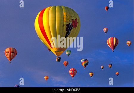 Heißluftballons steigen im Morgenlicht an der International Balloon Fiesta Albuquerque New Mexico Stockfoto