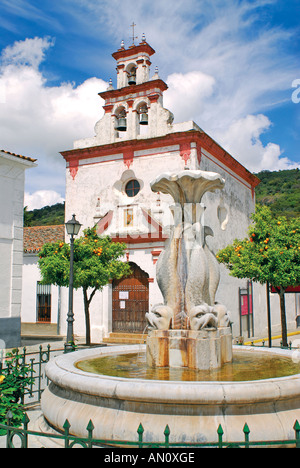 Brunnen und mittelalterliche Kirche San Miguel Arcángel, Jabugo, Sierra de Aracena, Andalusien, Spanien Stockfoto