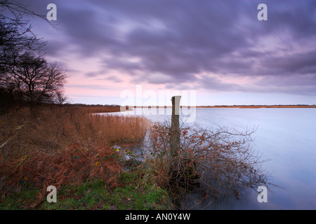 Ein Blick auf Martham breit an einem Wintermorgen Stockfoto