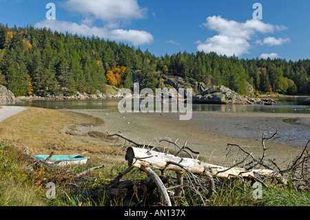 Squrriel Cove Salmon Creek Cortes Island Britisch-Kolumbien. Kanada.  BCX 0207. Stockfoto