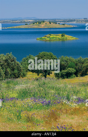 Landschaft rund um die Flut von Alqueva, Alentejo, Portugal Stockfoto