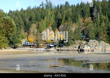 Squrriel Cove Salmon Creek Cortes Island BC. Kanada. Stockfoto