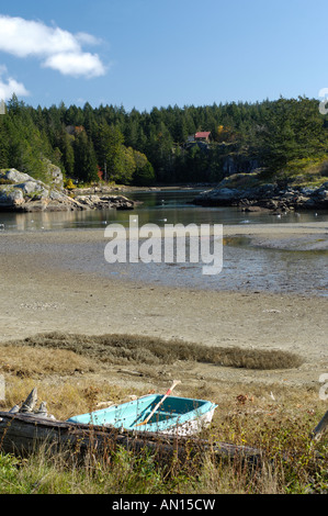 Squrriel Cove Salmon Creek Cortes Island Georgia Straight. BCX 0209. Stockfoto