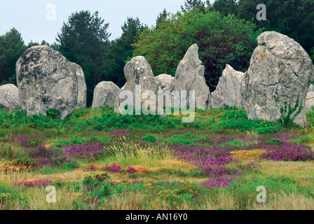 Megalithischen Steinen, Ausrichtung Kermario, Carnac, Bretagne, Frankreich Stockfoto