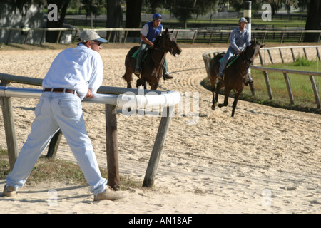 Ocala Florida, Racehorse Gestüt, Stall gewidmet Ausbildung einjährige Vollblut Rennpferde, domestizierte Tiere, Pferde, Besucher reisen Reise zu Stockfoto