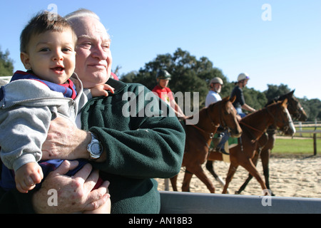 Ocala Florida, Racehorse Gestüt, Stall gewidmet Ausbildung einjährige Vollblut Rennpferde, domestizierte Tiere, Pferde, Besucher reisen Reise zu Stockfoto