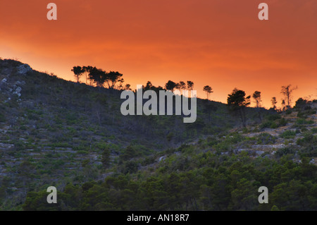 Berg bei Sonnenuntergang auf der Insel Korcula mit Pinien in der Silhouette auf dem Kamm gegen einen orangefarbenen Himmel Prizba Dorf. Insel Korcula. Prizba, Riva Apartments, Danny Franulovic. Insel Korcula. Dalmatien, Kroatien, Europa. Stockfoto