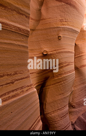 Hole In The Rock Road Detailbereich Zebra Slot Canyon Grand Treppe Escalante National Monument UTAH Stockfoto