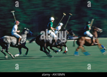 Polospiel im Süden der USA Stockfoto