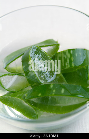 Aloe Vera Barbadensis Scheiben Stockfoto