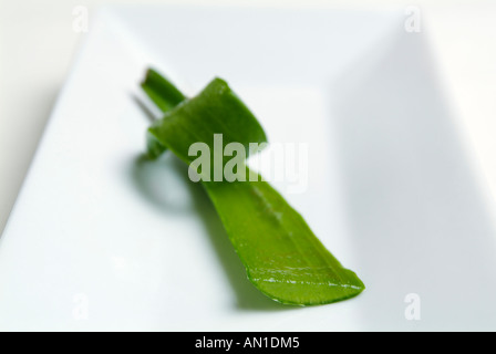 Scheiben Aloe Vera Barbadensis Ernährung anti-aging-biologische Kosmetik schneiden Diät Nahrungsergänzung Enzyme Stockfoto