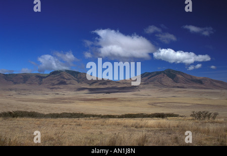 Blick Richtung Sadiman Vulkan vom Rand Ngorongoro-Kraters Stockfoto