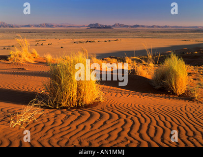Blick vom Elim Düne Tsauchab-Tal Namib Naukluft Park Namibia Afrika Stockfoto