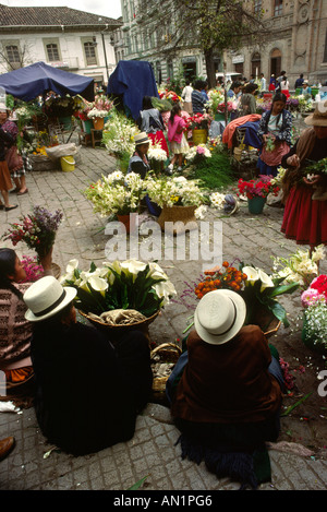 Ecuador Cuenca Blume indische Marktfrauen Stockfoto